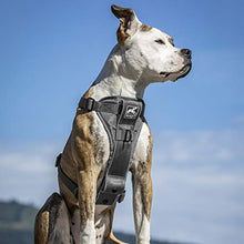 Load image into Gallery viewer, Kurgo Dog Harness | Pet Walking Harness | No Pull Harness Front Clip Feature for Training Included | Car Seat Belt | Tru-Fit Quick Release Style | Large | Grey
