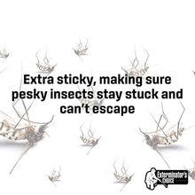 Load image into Gallery viewer, Exterminator's Choice - Indoor Glue Pad Refills - Works with Most Indoor Mosquito Lamps - Extra Sticky - Traps Mosquitos and Other Bugs - Pack of 16

