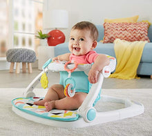 Load image into Gallery viewer, Fisher-Price Sit-Me-Up Floor Seat
