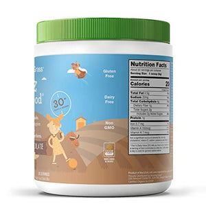 Amazing Grass Kidz Superfood: Organic Greens, Fruits, Veggies, Beet Root Powder & Probiotics for Healthy Kids, Outrageous Chocolate, 30 Servings, 6.35 Ounce (Pack of 1)