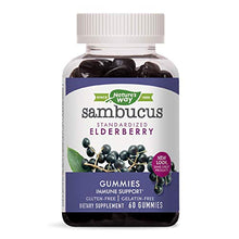 Load image into Gallery viewer, Nature&#39;s Way Sambucus Elderberry Gummies with Vitamin C &amp; Zinc, Gluten Free, Vegetarian, 60 Gummies
