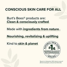 Load image into Gallery viewer, Burt's Bees Daily Face Moisturizer Cream for Sensitive Skin, Fragrance Free Lotion, 1.8 Ounce (Packaging May Vary)
