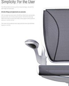 Humanscale Diffrient World Chair | Pinstripe Black Mesh Seat and Back | Black Frame with Black Trim | Height-Adjustable Duron Arms | Standard Foam Seat, 3" Carpet Casters, and 5" Cylinder
