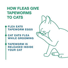 Load image into Gallery viewer, Elanco Tapeworm Dewormer (praziquantel tablets) for Cats, 3-Count Praziquantel Tablets for Cats and Kittens 6 Weeks and Older
