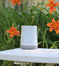 Load image into Gallery viewer, AcuRite Wireless Digital Rain Gauge with Self-Emptying Collector with Rainfall History, Alerts, and Current Date and Time (00899), Multicolor
