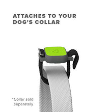 Load image into Gallery viewer, Whistle FIT - Pet Health and Fitness Tracker - Nutrition, and Activity Tracking, Waterproof, Monitors Licking, Scratching, Drinking, and Sleeping - Not a GPS, for Dogs
