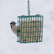 Load image into Gallery viewer, C&amp;S Wild Bird EZ Fill Suet Basket, Green

