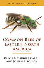 Load image into Gallery viewer, Common Bees of Eastern North America (Princeton Field Guides, 123)
