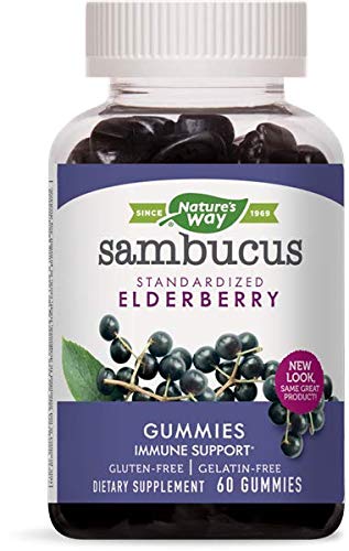 Nature's Way Sambucus Elderberry Gummies, 60 Gummies (2-Pack)