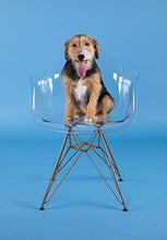 Load image into Gallery viewer, Flash Furniture Alonza Series Transparent Side Chair with Gold Base
