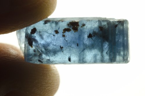 Fantasia Materials: 50 Carat Lot of Translucent Blue Sapphire and Kyanite Rough Stones from Brazil