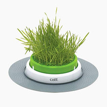 Load image into Gallery viewer, Catit Senses 2.0 Cat Grass Planter, Interactive Cat Toys
