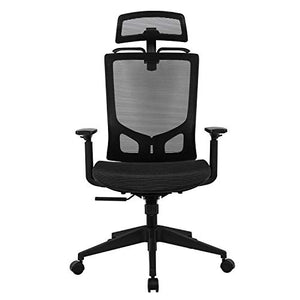 Statesville Ergonomic Mesh Office Chair - High Back Adjustable Backrest Armrest Headrest Computer Desk Chair with Coat Hanger, Black