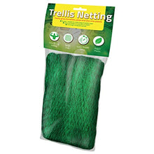 Load image into Gallery viewer, De-Bird: Trellis Netting for Climbing Garden Plants, Grow Garden Flowers, Green Pea and Vine Plants
