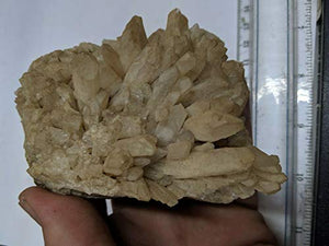 Large Danburite Crystal Cluster Specimen Danbury CT VY-27