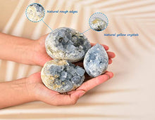 Load image into Gallery viewer, AMOYSTONE Natural Blue Celestite Cluster Geode Egg with Base for Healing Reiki Home Decors Medium, Height 2.5-3"
