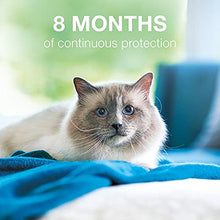 Load image into Gallery viewer, Seresto Flea and Tick Collar for Cats, 8-month Flea and Tick Collar for Cats
