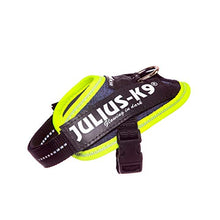 Load image into Gallery viewer, Julius-K9 16IDC-FARNE-B1 IDC Powerharness, Dog Harness, Size Baby 1, Jeans with Neon Edge
