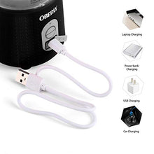 Load image into Gallery viewer, Portable Blender, OBERLY Personal Juicer Cup for Shakes and Smoothies - Six Blades in 3D, 13oz Fruit Mixing Machine with 4000mAh USB Rechargeable Batteries, Ice Tray, Detachable Cup, Perfect Blender for Travel, Outdoor
