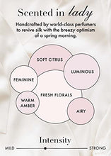 Load image into Gallery viewer, The Laundress New York The Laundress - Laundry Detergent for Delicates, Care for Fabric, Silk, Delicates Detergent, Synthetics and Blends, White No Flavour, 16 Fl Oz
