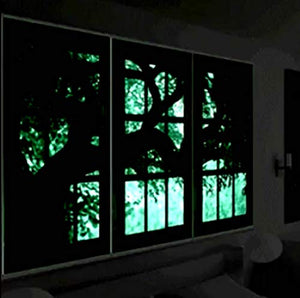 1 Gallon Luminous Glow in The Dark Paint