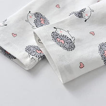 Load image into Gallery viewer, Baby Girls Clothes Set 2 Piece Long Sleeve Cartoon Hedgehog Infant Outfits (0-6 Months) Pink
