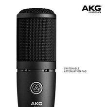Load image into Gallery viewer, AKG P120 High-Performance General Purpose Recording Microphone
