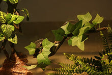 Load image into Gallery viewer, AQUA KT Reptile Corner Branch Terrarium Plant Decoration with Suction Cup for Amphibian Lizard Snake Climbing
