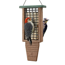 Load image into Gallery viewer, Kingsyard Recycled Plastic Suet Bird Feeder, Double Capacity Tail-Prop Suet Feeder for Outside Hanging, Sturdy &amp; Durable, Great for Woodpecker &amp; Clinging Birds, Green
