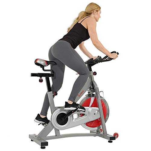 Load image into Gallery viewer, Sunny Health & Fitness Pro II Indoor Cycling Bike with Device Mount and Advanced Display – SF-B1995, Silver