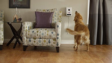 Load image into Gallery viewer, Petzi Treat Cam: Wi-Fi Pet Camera &amp; Treat Dispenser, Enabled with Amazon Dash Replenishment
