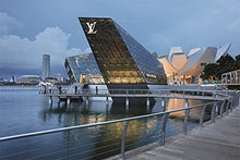 Load image into Gallery viewer, Louis Vuitton: The Birth of Modern Luxury Updated Edition
