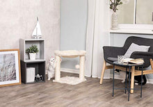 Load image into Gallery viewer, TRIXIE Pet Products Baza Cat Tree
