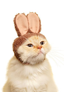Kitan Club Cat Cap - Pet Hat Blind Box Includes 1 of 5 Cute Styles - Soft, Comfortable - Authentic Japanese Kawaii Design - Animal-Safe Materials, Premium Quality (Rabbit)