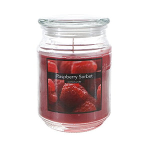 Scented 18 Ounce Glass Jar Container Candle - Raspberry Sorbet