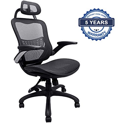 Ergonomic Office Chair, Weight Capacity Over 250Ibs Passed BIFMA,Breathable High Back Mesh Office Chairs,Adjustable Headrest,Backrest and Flip-up Armrests,Executive Office Chair for Height Under 5'11