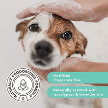 Load image into Gallery viewer, Natural Dog Company Itchy Dog Shampoo (12oz) | Natural and Hypoallergenic | Non-Toxic and Paraben-Free | Dog Shampoo for Itchy Skin Relief and Coat Health | Hydrates, Soothes and Heals Irritations
