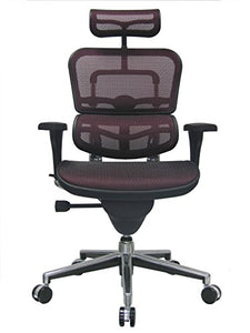 Eurotech Seating Ergohuman High Back Mesh Managers Chair, Plum Red