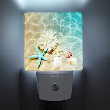 Load image into Gallery viewer, Starfish Coral and Seashell Plug-in Night Light Dusk to Dawn Smart Sensor White Led Nightlight for Bedroom Bathroom Kitchen Hallway Stairs Hallway Energy Efficient Decor Desk Lamp
