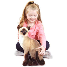 Load image into Gallery viewer, Stefan The Siamese Cat - 14 Inch Stuffed Animal Plush - by Tiger Tale Toys

