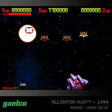Load image into Gallery viewer, Blaze Evercade Gaelco Arcade Cartridge 1 - Nintendo DS
