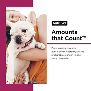Nutri-Vet Pre and Probiotic Soft Chews for Dogs | Digestive Health Support Dog Probiotics | Tasty Alternative to Dog Probiotic Powder | 120 Soft Chews