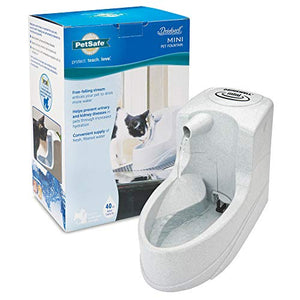 PetSafe Drinkwell Mini Pet Fountain for Cats and Small Dogs – Filtered Water – Filter Included, PWW00-14402