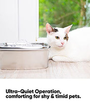 Load image into Gallery viewer, OlarHike Cat Water Fountain Stainless Steel, 67oz/2L Dog Water Bowl Dispenser Automatic Pet Water Fountain with Quiet Pump, Dishwasher Safe Design &amp; Adjustable Water Flow for Cats, Dogs
