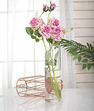 Load image into Gallery viewer, Gelible Geometric Glass Flower Vase with Metal Holder, Crystal Clear Transparent Planter Flowers Vase,Handcrafted Plating Metal Vase,Clear Vase Decor Home Office Wedding Party and Holiday Celebrate
