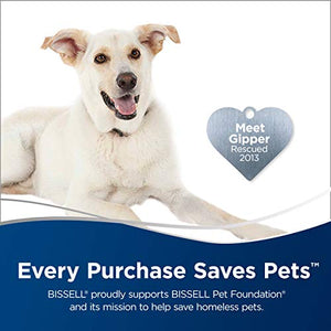 BISSELL, 20037 Pet Stain Eraser Cordless Portable Carpet Cleaner, 2019 Version
