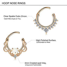 Load image into Gallery viewer, Finrezio 12Pcs 316L Stainless Steel Septum Piercing Nose Rings Hoop Cartilage Tragus Retainer Body Piercing Jewelry 8MM 16G Rose-Gold Tone &amp; Silver Tone
