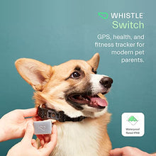 Load image into Gallery viewer, Whistle GPS + Health + Fitness - Smart Dog Collar, Waterproof Dog GPS Tracker Plus Health &amp; Fitness Monitor, 24/7 Pet Tracker, 2 Rechargeable Batteries, Switch (Newest Model), (Black), S/M

