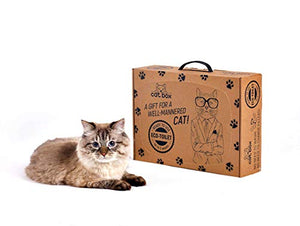 Cat Box Eco Cat Toilet for Four Weeks. Ready to use Shatter-Resistant Anti-Breaking Self-Cleaning Kitty Litter Cardboard Box Tray Refills Non-Clumping Wood Mineral Cat Litter Smell up to 25-30 Days