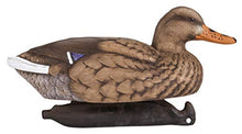 Load image into Gallery viewer, Flambeau Outdoors 1812DPK Masters Series Mallard Decoys, Classic Floaters - 12-Pack

